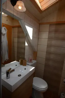 a bathroom with a sink and a toilet and a mirror at Studio ALPIKA in Luče