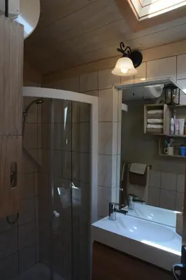 a bathroom with a sink and a shower and a mirror at Studio ALPIKA in Luče