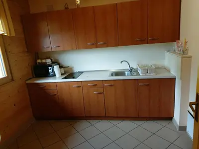 a kitchen with wooden cabinets and a sink and a microwave at Brunarica in Globoko