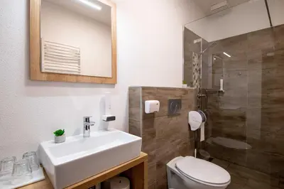 a bathroom with a sink and a toilet and a shower at Guesthouse Stari Mayr in Kranj