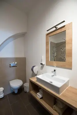 a bathroom with a sink and a toilet and a mirror at Guesthouse Stari Mayr in Kranj