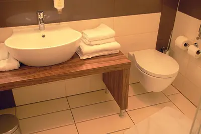 a bathroom with a sink and a toilet at Hotel Opara in Trebnje