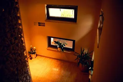 a hallway with a window and plants in a room at Hotel Opara in Trebnje