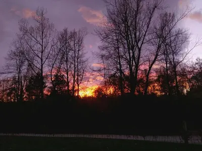 a sunset with trees in front of a field at River Cave Apartment Slovenia in Visoko