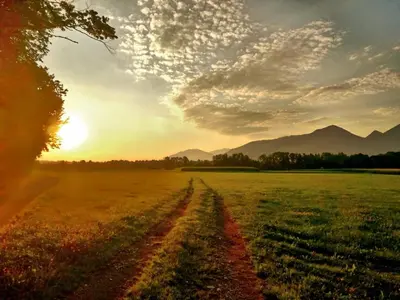 a dirt road in a field at sunset at River Cave Apartment Slovenia in Visoko