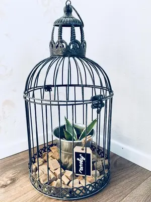 a bird cage with a potted plant in it at Urban herbs apartment in Ljubljana