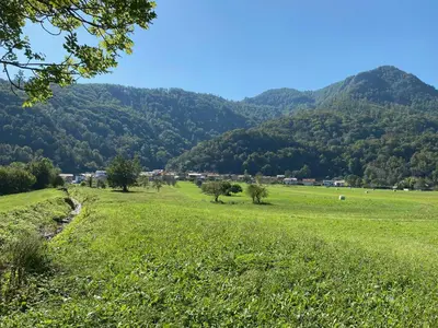 a field of green grass with mountains in the background at Ciginj old stone house in Čiginj