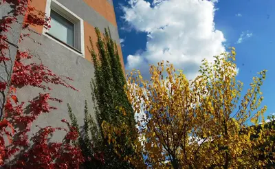 a building with autumn foliage next to a building at Hiša posebne Sorte in Kodreti