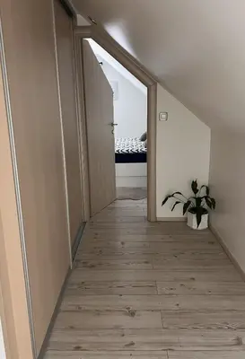 a hallway with a door and a potted plant at Ana`s place in Celje