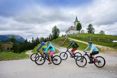 a group of people riding bikes down a road at Farm Stay 