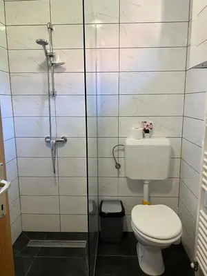 a bathroom with a toilet and a shower at POČITNIŠKI APARTMAJI - Extraordinary apartment in Banovci in Veržej