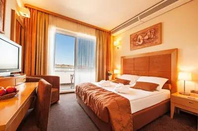 a hotel room with a bed and a television at Grand Hotel Primus - Terme Ptuj - Sava Hotels & Resorts in Ptuj