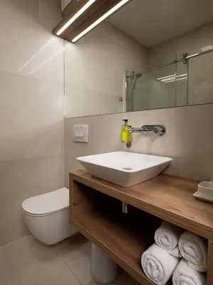 a bathroom with a sink and a toilet and a mirror at Ahotel Ljubljana in Ljubljana