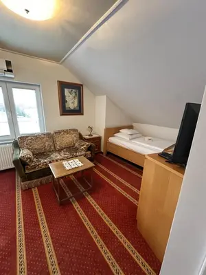 a living room with a couch and a bed at Hotel Grande in Celje