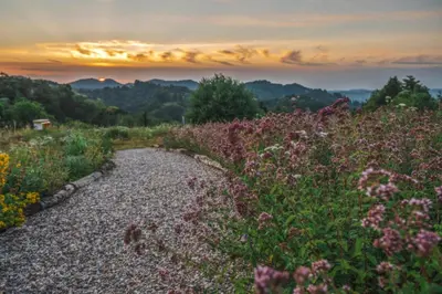 a field of flowers with a sunset in the background at Country House Zunko in Jelovec