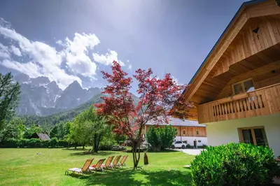 a group of chairs and a tree with red leaves at Apartments Trata in Kranjska Gora