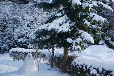 a snowman sitting next to a tree in the snow at Apartments Trata in Kranjska Gora