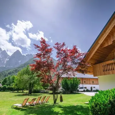 Apartments Trata