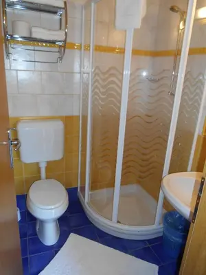 a bathroom with a shower and a toilet and a sink at Apartments & Rooms Preseren in Bled
