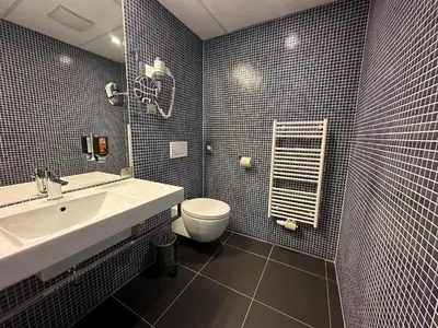 a bathroom with a sink and a toilet at Hotel Thermana Park Laško**** Superior in Laško