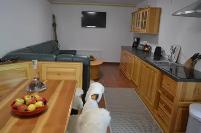 a dog in a kitchen with a bowl of fruit on a table at Apartments Vijolica on the ski slope with free parking in Kranjska Gora