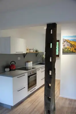 a kitchen with white appliances and a wooden ladder at Woodywood house Bohinj in Polje