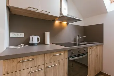 a kitchen with a sink and a stove at Apartments Dominika in Bohinjska Bela