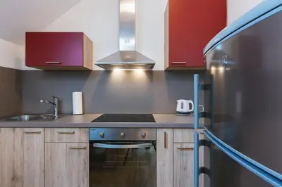 a kitchen with a stove and a sink at Apartments Dominika in Bohinjska Bela