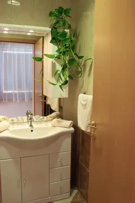 a bathroom with a sink and a plant on the wall at Garni Hotel Villa Tamara in Moravske Toplice
