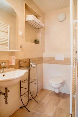 a bathroom with a sink and a toilet at Apartments Kristan in Bled