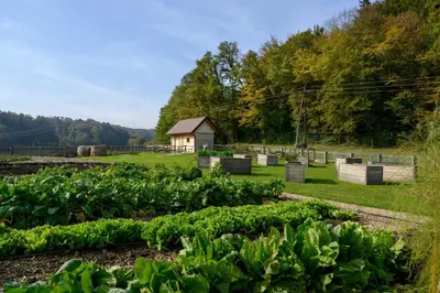a garden of lettuce with a building in the background at Hotel Grad Otočec - Relais Chateaux in Otočec