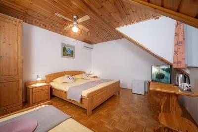 a bedroom with a bed and a tv in a room at Rooms & Apartments Pr Matjon in Bled