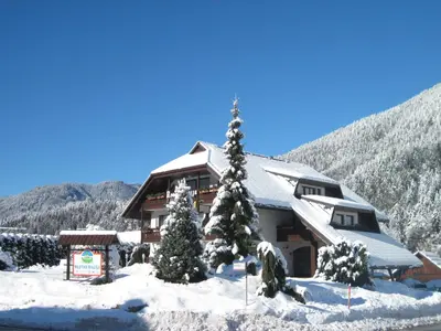 a lodge in the snow with a christmas tree at Penzion Livada in Kranjska Gora