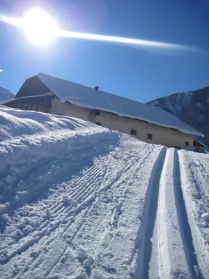 a snow covered road in front of a building at Penzion Livada in Kranjska Gora