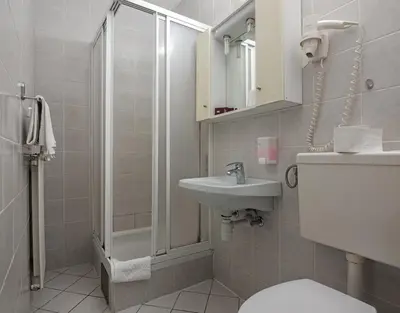 a bathroom with a shower and a sink and a toilet at Gostisce Golob in Zgornja Polskava