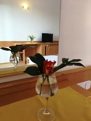 a vase with a red flower in it on a table at Gostisce Golob in Zgornja Polskava