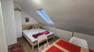 a small bedroom with a bed and a skylight at Apartment Panorama & Bella Vista in Bohinjska Bela