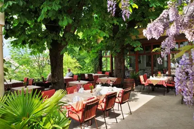 a restaurant with tables and chairs under a tree with purple flowers at Pension Lectar in Radovljica