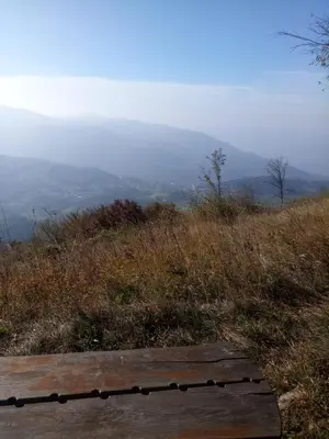 a wooden bench sitting on top of a hill at Gostilna Tratnik in Zoll
