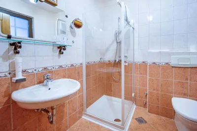 a bathroom with a shower and a sink and a toilet at Garni Hotel & Apartments Terano in Maribor