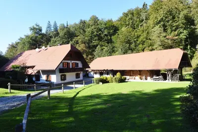 a house and a barn with a grass yard at Domačija Šeruga Countryside hotel in Novo Mesto