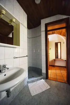 a bathroom with a sink and a shower and a mirror at Domačija Šeruga Countryside hotel in Novo Mesto