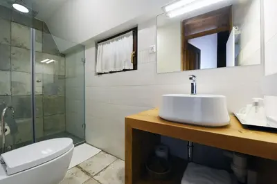a bathroom with a sink and a toilet and a shower at Domačija Šeruga Countryside hotel in Novo Mesto