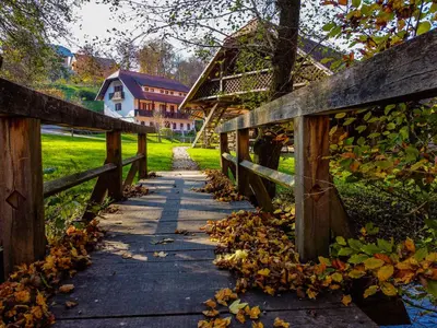 a wooden bridge covered in leaves next to a fence at Domačija Šeruga Countryside hotel in Novo Mesto