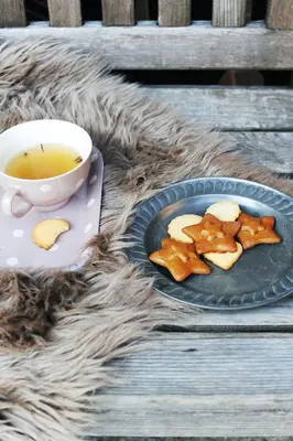 a plate of cookies and a cup of tea at Domačija Šeruga Countryside hotel in Novo Mesto