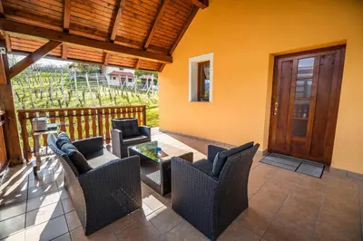 a patio with chairs and a table and a door at Holiday Home Blue Sky in Globocice