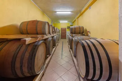a row of wine barrels in a cellar at Ražman Wine Rooms in Gračišče