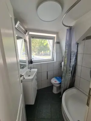 a small bathroom with a toilet and a sink at 4 seasons apartment Radovljica in Radovljica