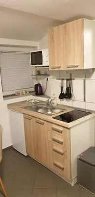 a small kitchen with a sink and a microwave at 4 seasons apartment Radovljica in Radovljica