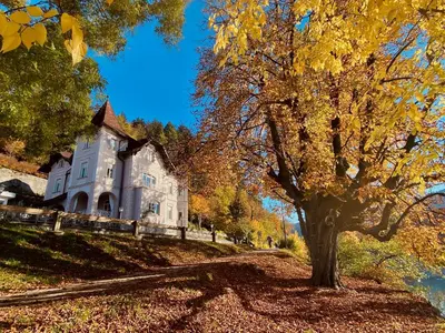 a tree in front of a house on a hill at Adora Luxury Hotel in Bled
